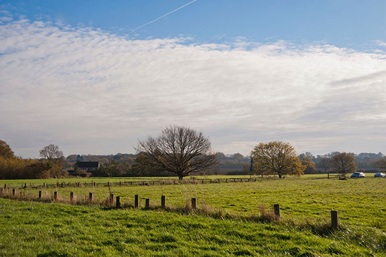 Galleywood Common