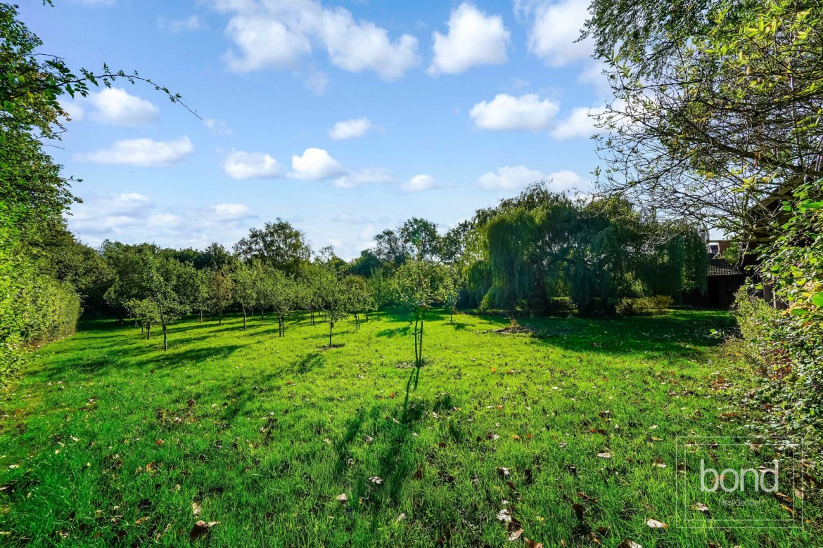 Images for Sandon, Chelmsford, Essex EAID:3363689002 BID:7608502