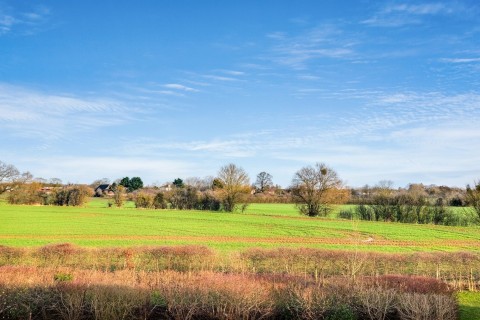 Cowlin Mead, Chelmsford, Essex - EAID:3363689002, BID:1388407