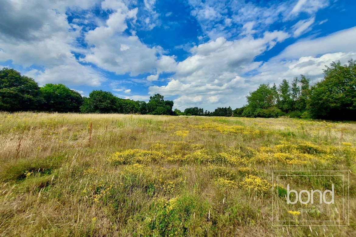 Images for Sandon, Chelmsford, Essex EAID:3363689002 BID:7608502