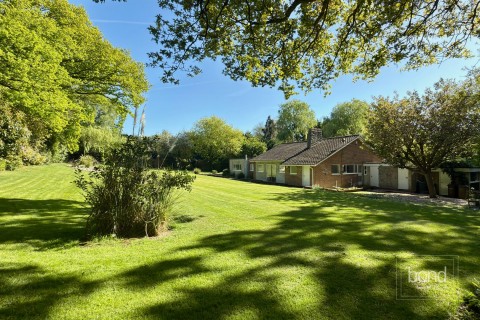 Little Baddow, Chelmsford, Essex - EAID:3363689002, BID:7608502