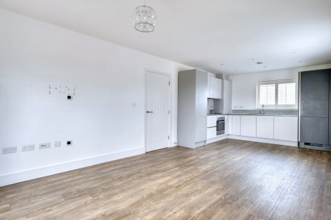 Ben Wilson Link, Chelmsford, Essex - EAID:3363689002, BID:1388407