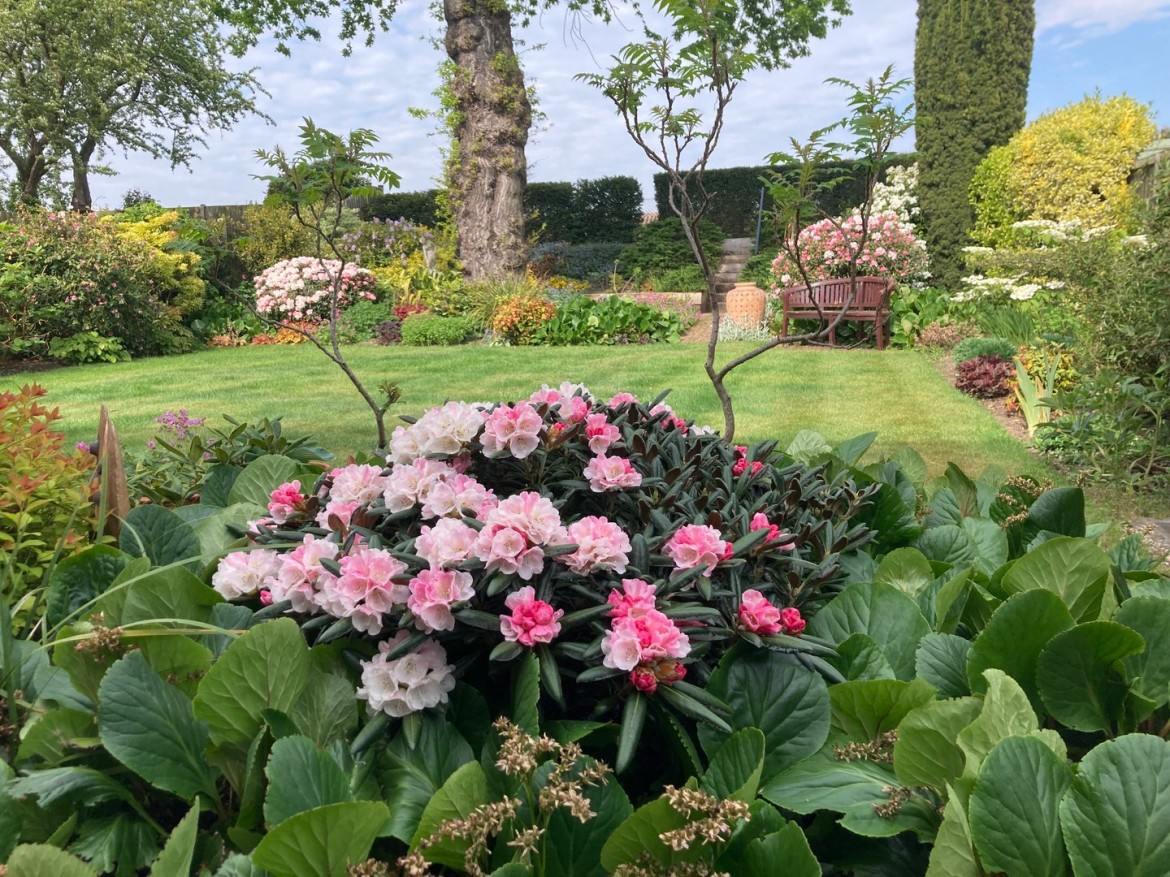 Images for Danbury, Chelmsford, Essex EAID:3363689002 BID:7608502