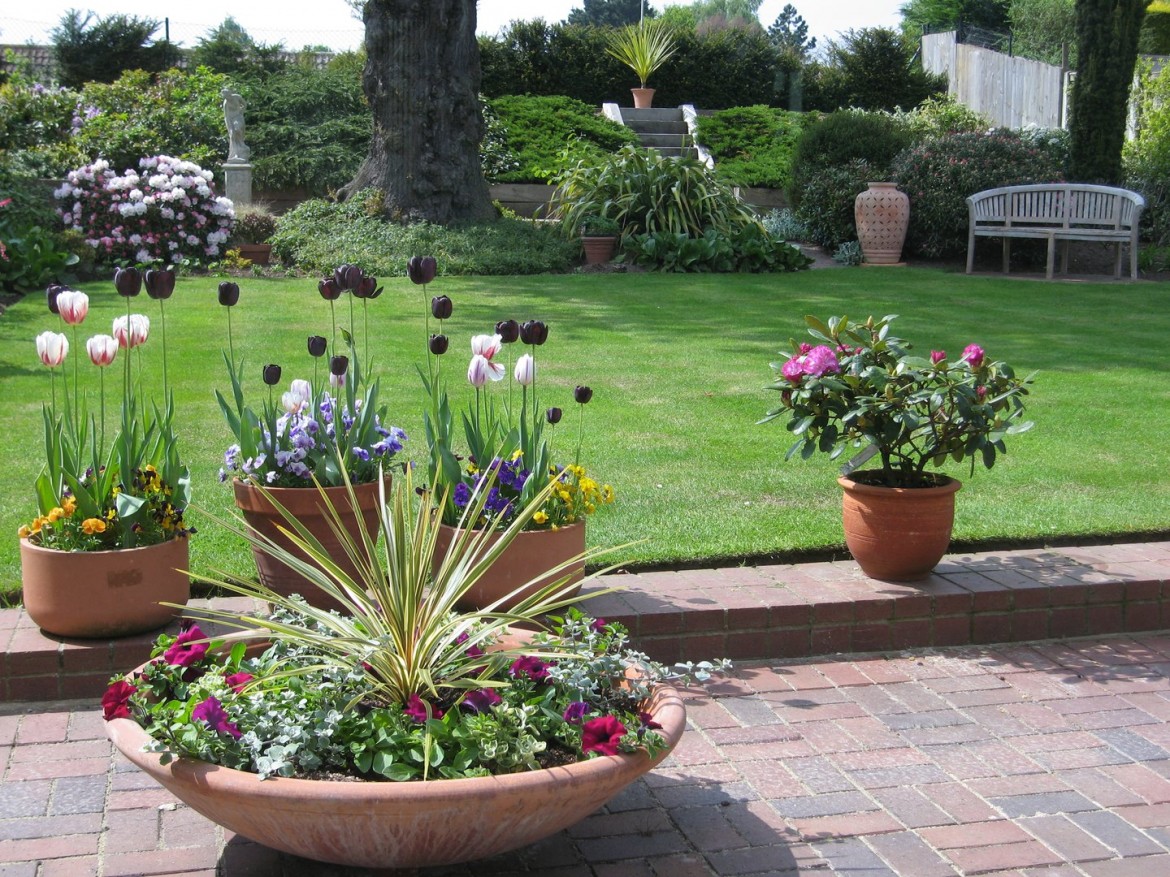 Images for Danbury, Chelmsford, Essex EAID:3363689002 BID:7608502