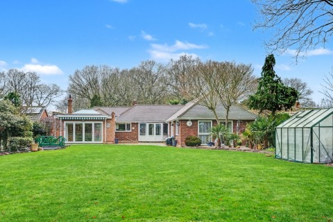 Danbury, Chelmsford, Essex - EAID:3363689002, BID:7608502