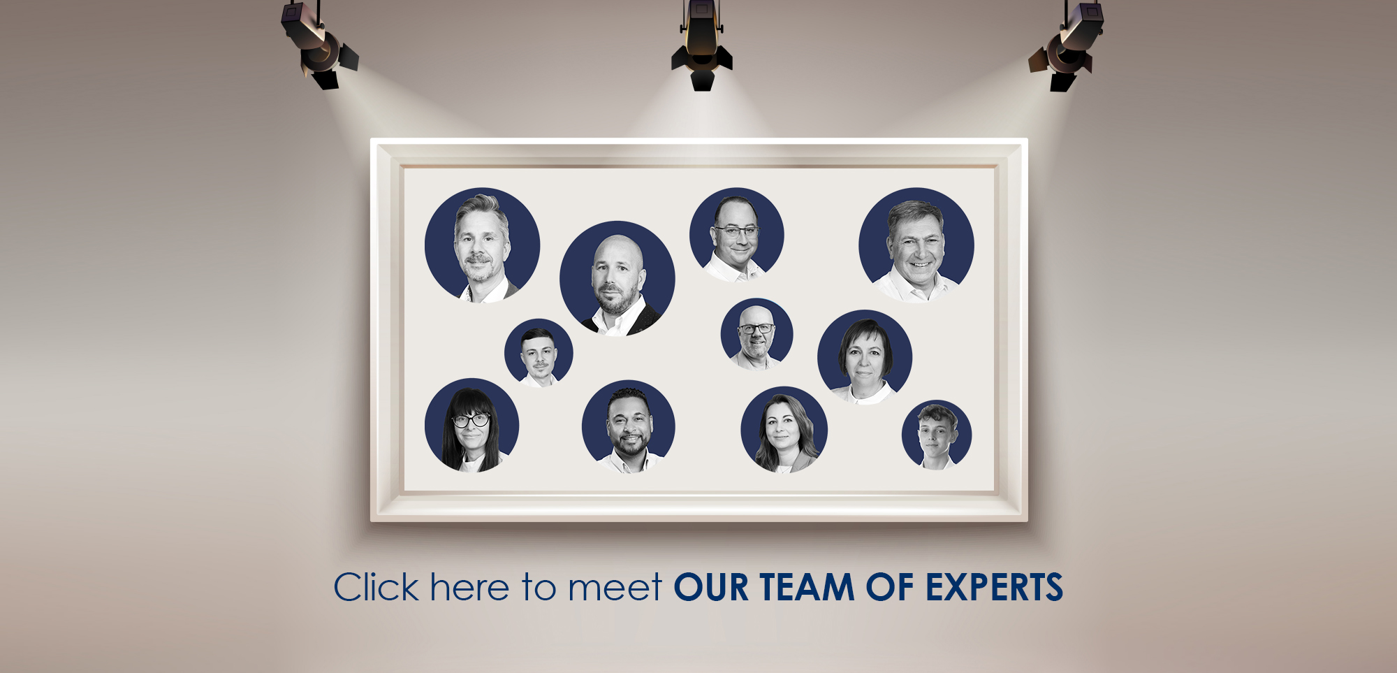 Meet the team