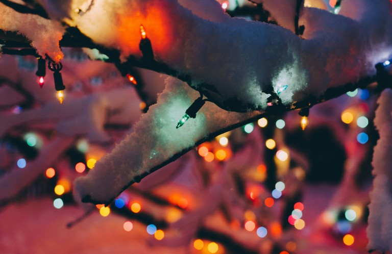 Chelmsford's Christmas Light Spectacle Honours Late Partner