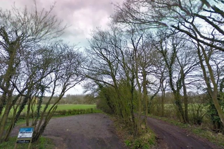 Explore Tranquil Beauty at Phyllis Currie Nature Reserve