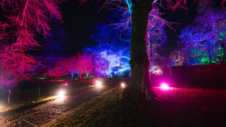 Chelmsford's Enchanting Christmas Lights Return
