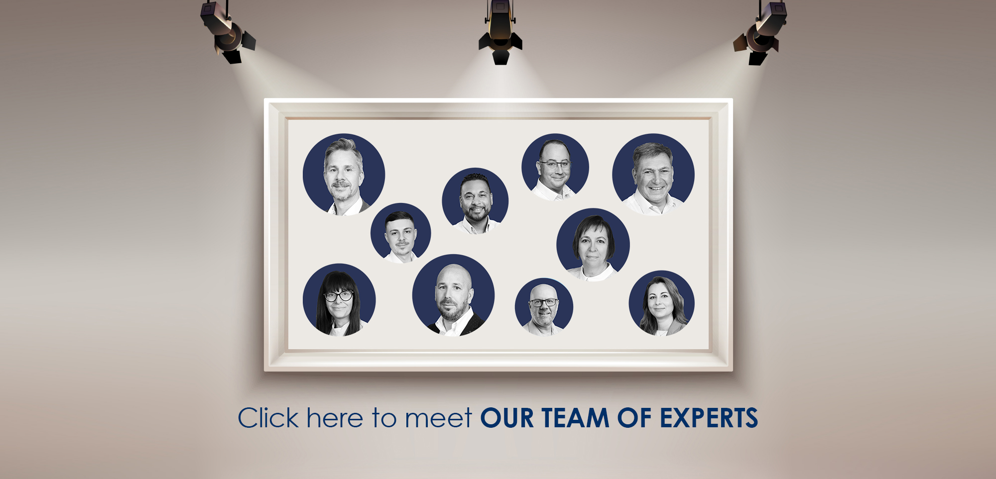 Meet the team