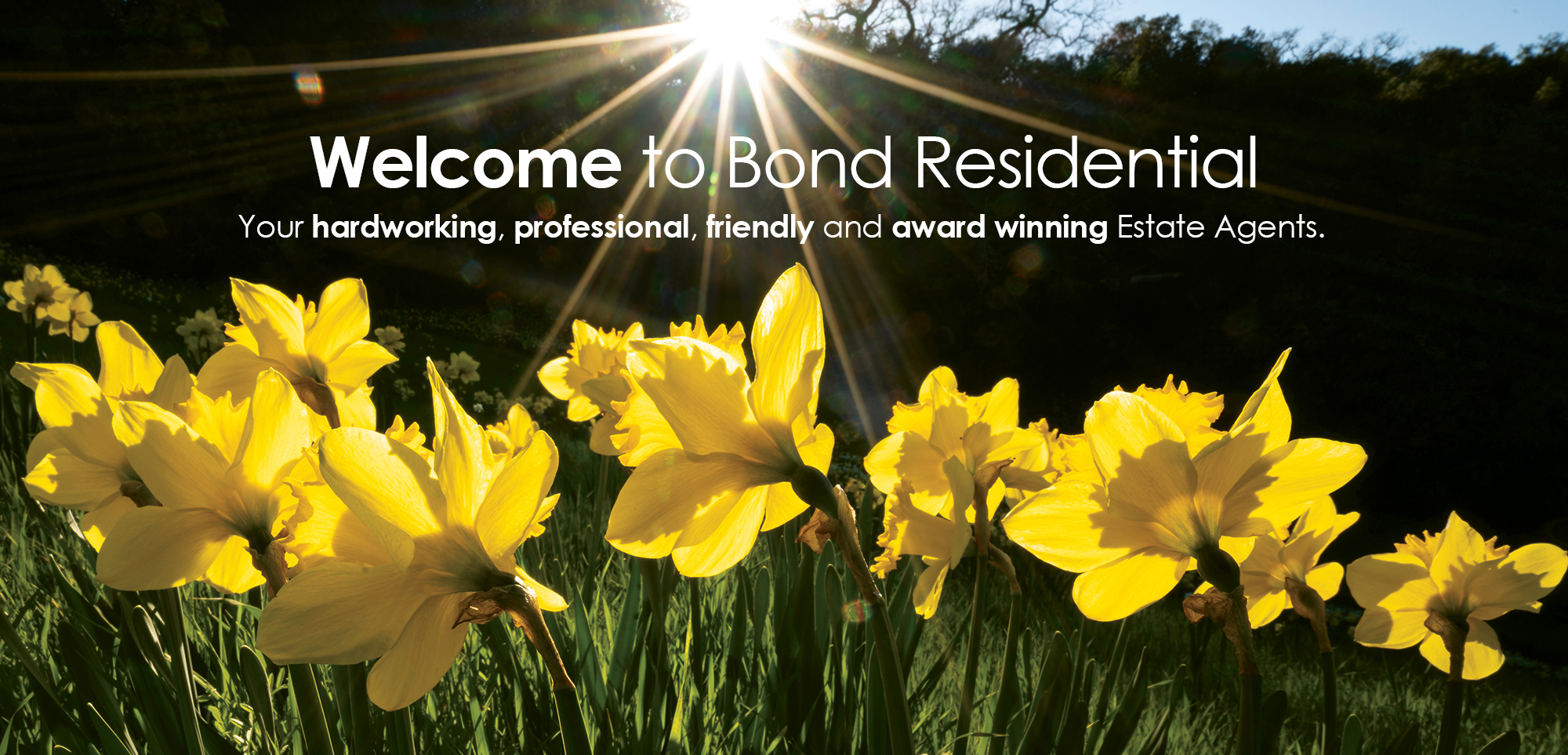 Spring Welcome Page