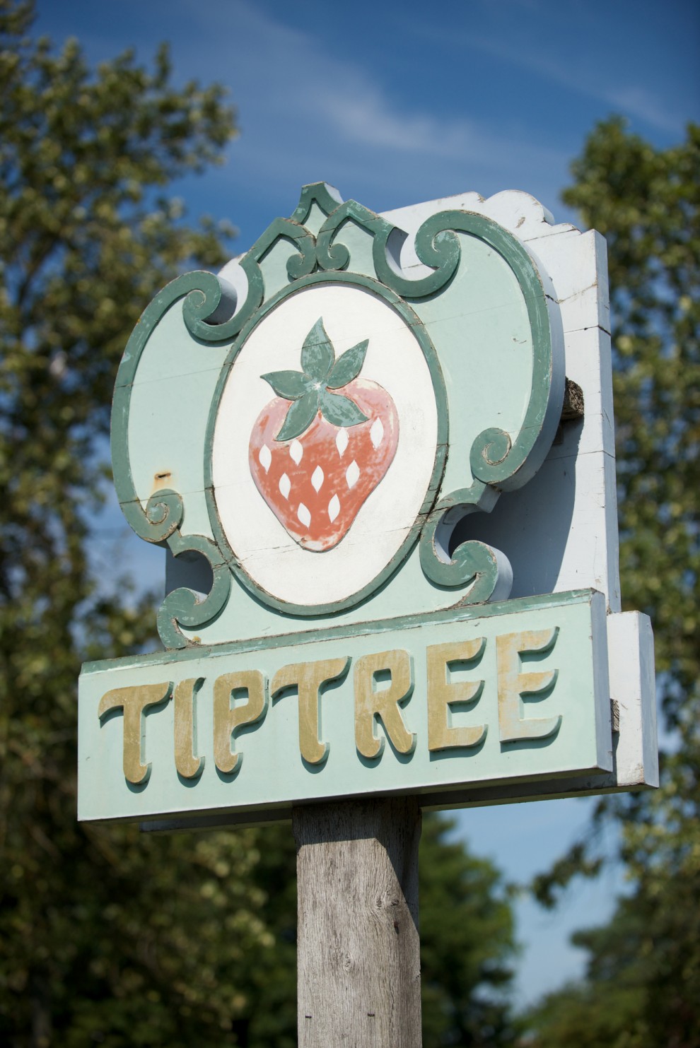 Images for Berryfields, Tiptree